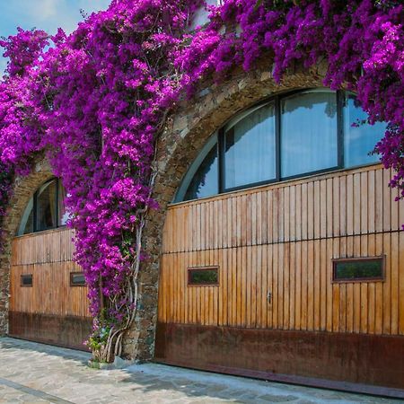 Villa Eliodora - Due Appartamenti أرنزانو المظهر الخارجي الصورة