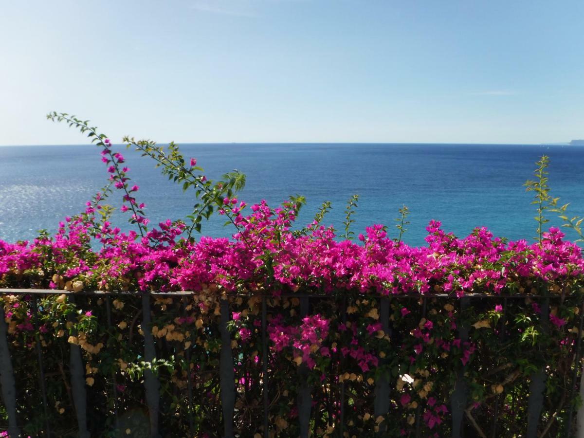 Villa Eliodora - Due Appartamenti أرنزانو المظهر الخارجي الصورة