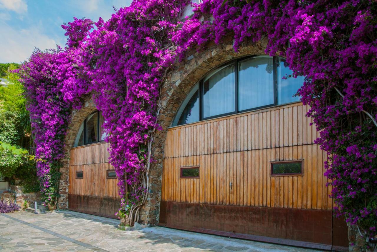 Villa Eliodora - Due Appartamenti أرنزانو المظهر الخارجي الصورة